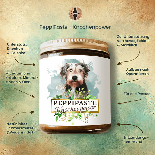 PeppiPaste - Knochenpower | Natürliche Gelenk- & Knochenpflege für Hunde | 220g