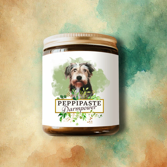 PeppiPaste - Darmpower