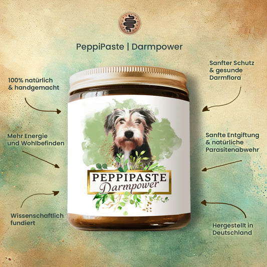 PeppiPaste - Darmpower | Natürliche Darmpflege für Hunde
