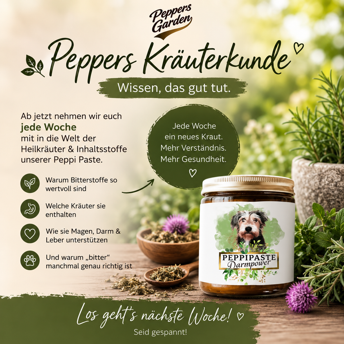  „Heilkräuter und Bitterstoffe für die natürliche Hundegesundheit – Peppers-Garden Kräuterkunde"