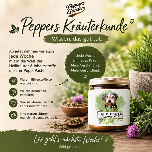  „Heilkräuter und Bitterstoffe für die natürliche Hundegesundheit – Peppers-Garden Kräuterkunde"