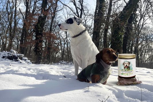 ❄️ Wenn Kälte auf die Knochen schlägt – Warum gerade jetzt so viele Hunde unter Gelenk- und Knochenproblemen leiden
