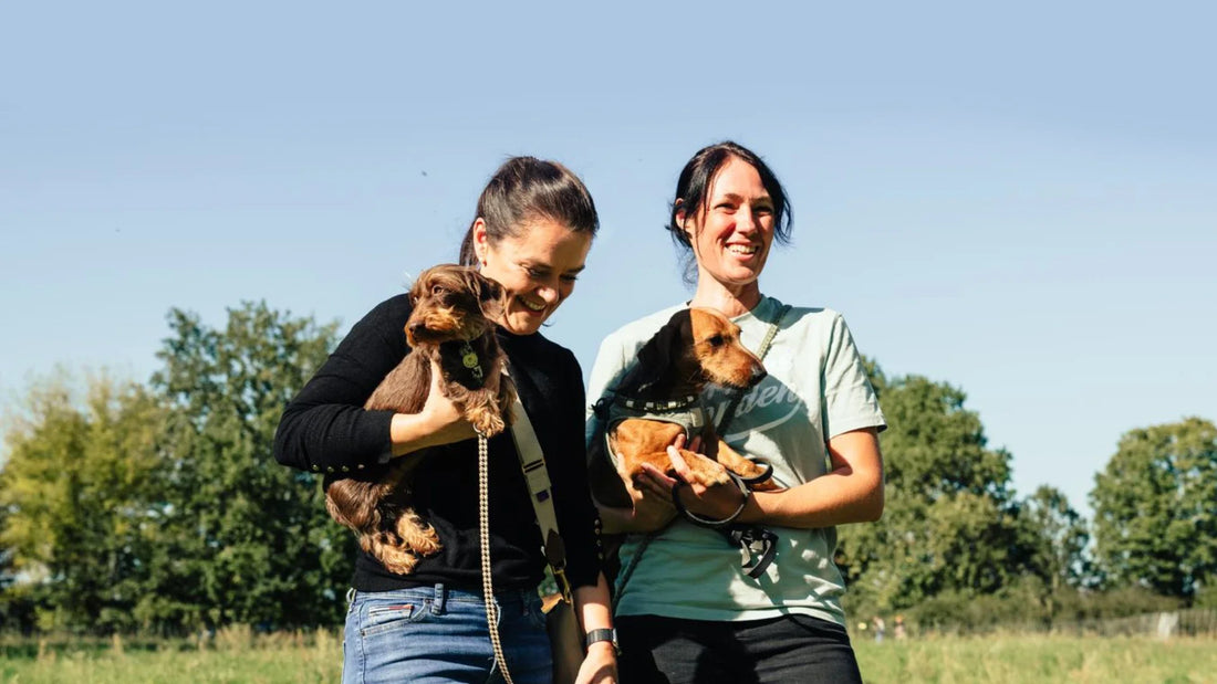 Peppers Garden Hunde Event