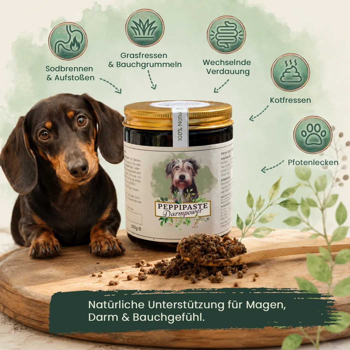 PeppiPaste - Darmpower | Natürliche Darmpflege für Hunde | 220g