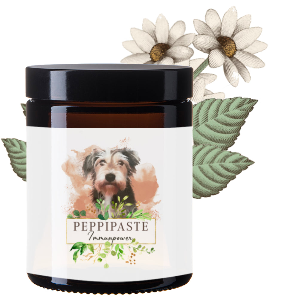 Peppi Paste - Immunpower