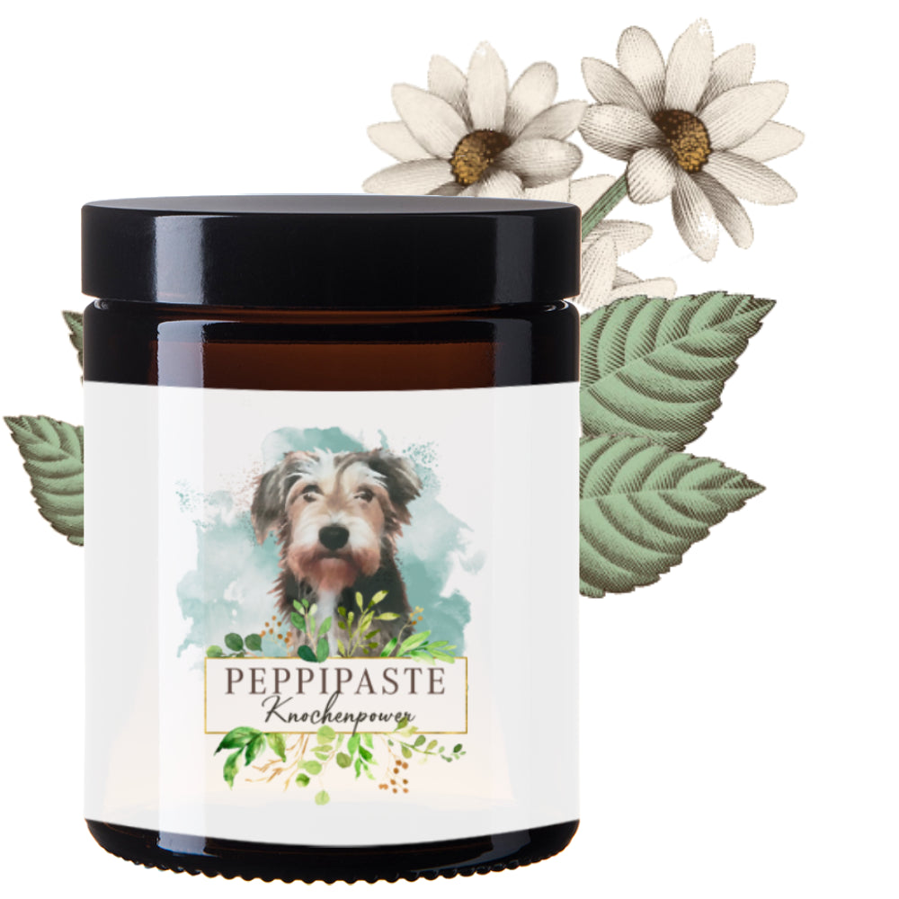 Peppi Paste - Knochenpower