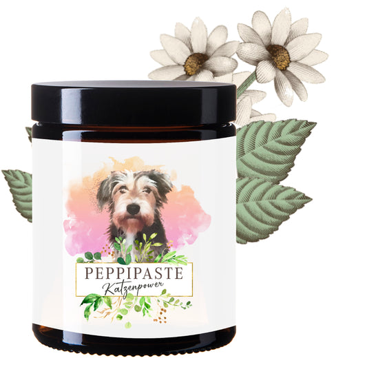 Peppi Paste - Katzenpower